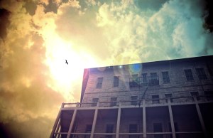 creationswap the spirit by matt grueber